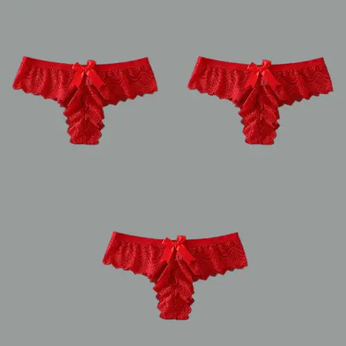 Lot de 3 pièces slips en dentelle-culotte grande taille pour femme Boutique de Lingeries et Accessoires Annie