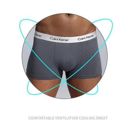 Lot de 4 pièces Boxers, culotte sous-vêtements pour hommes