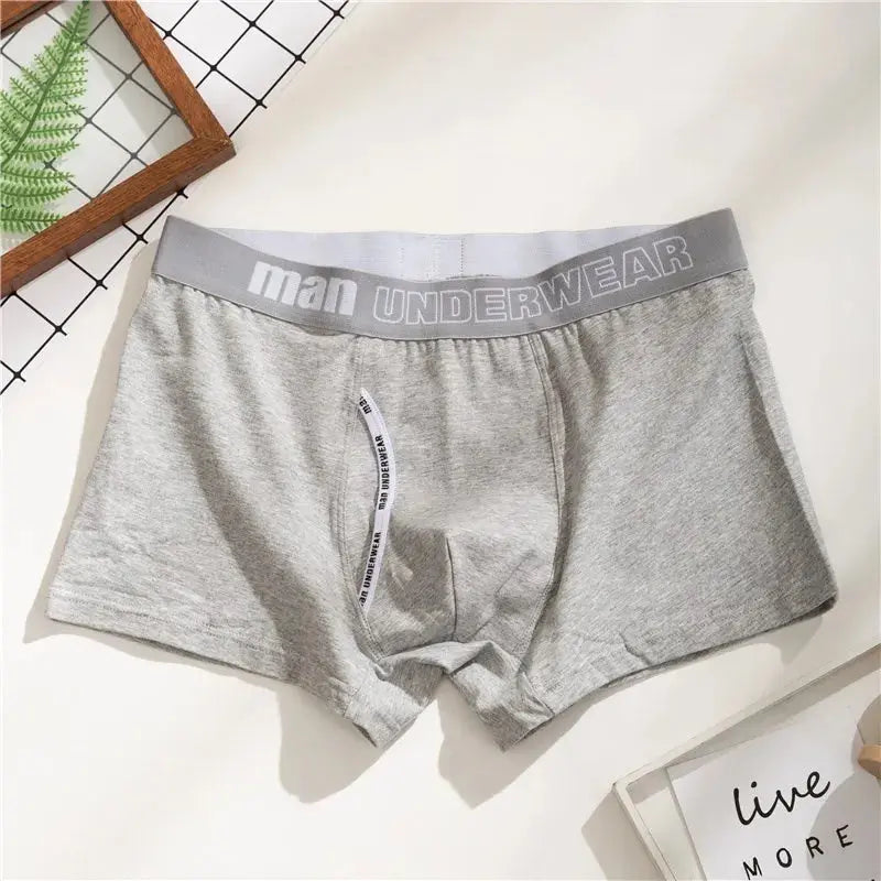 sous-vêtements coton boxers - caleçons grande taille 4XL