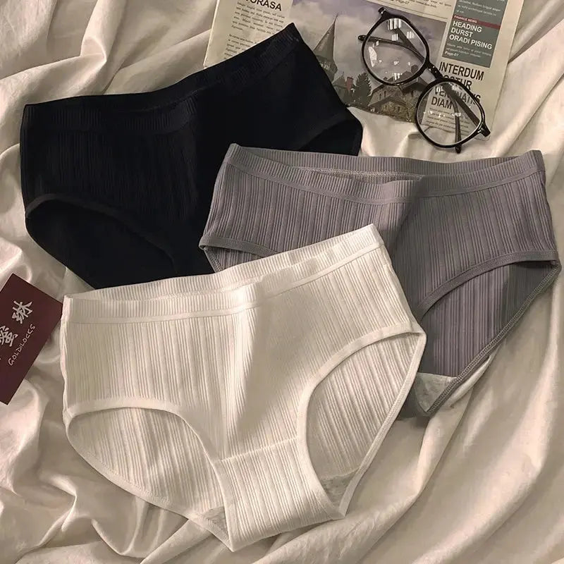 Lot de 3 pieces sous-vêtements filetés culotte femme Boutique de Lingeries et Accessoires Annie